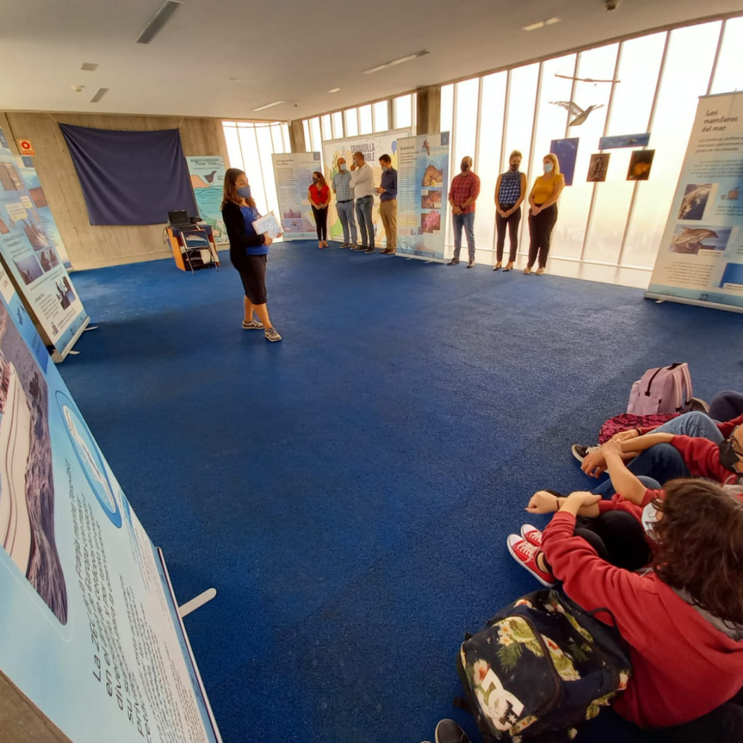 Lee más sobre el artículo Inaugurada la exposición “Tenerife, un mar para todos”