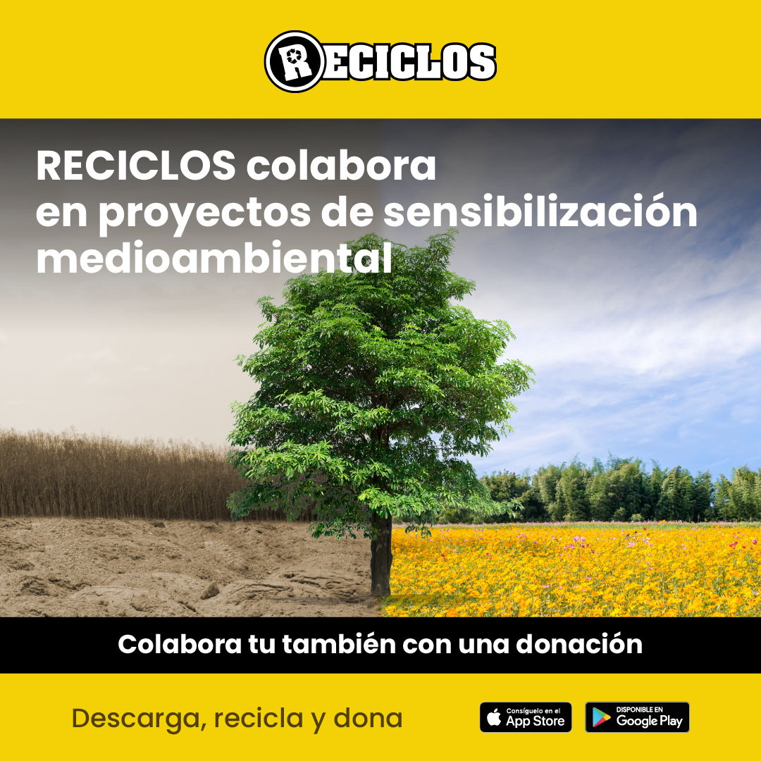 Lee más sobre el artículo Nuevo Incentivo Nacional Reciclos – Reforestación
